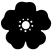 logo_marialisasarcullo_favicon